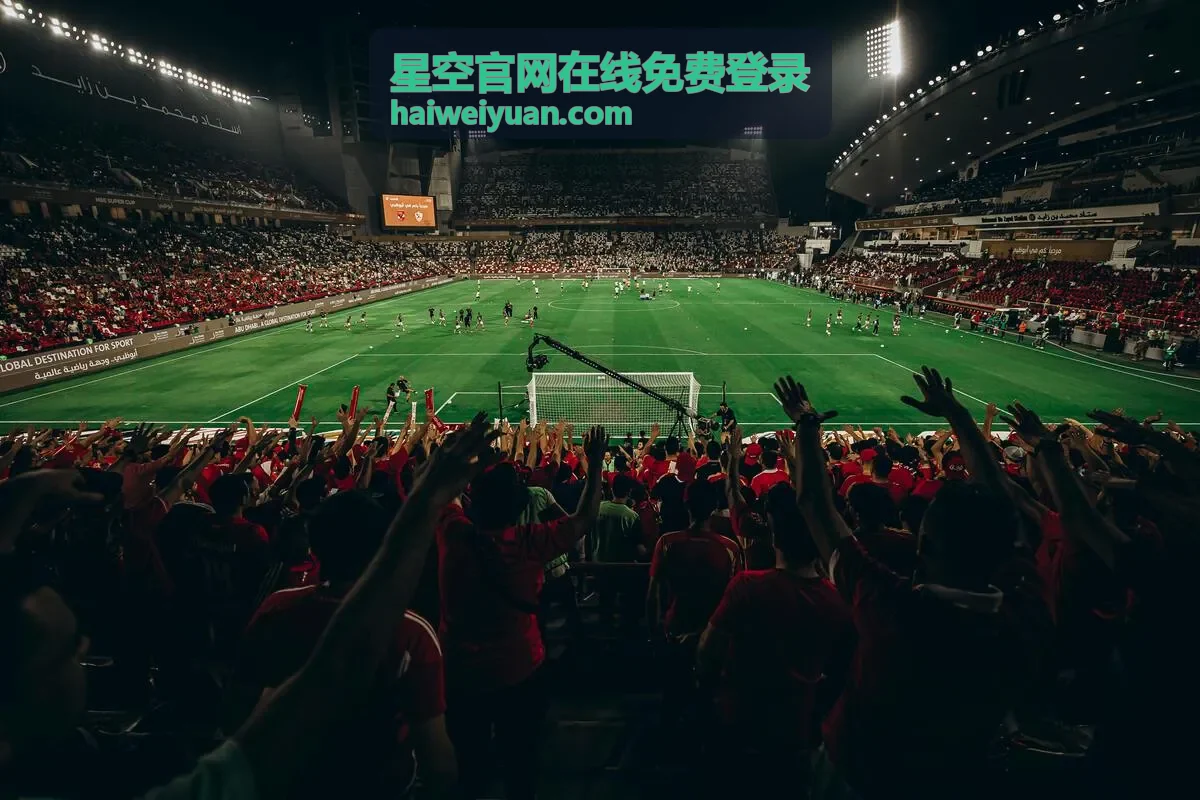 星空在线登录安全验证与异常处理示意图