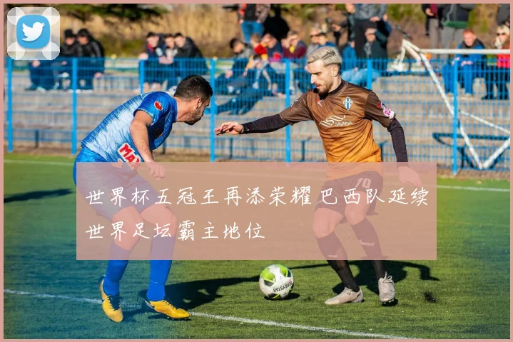 世界杯五冠王再添荣耀 巴西队延续世界足坛霸主地位